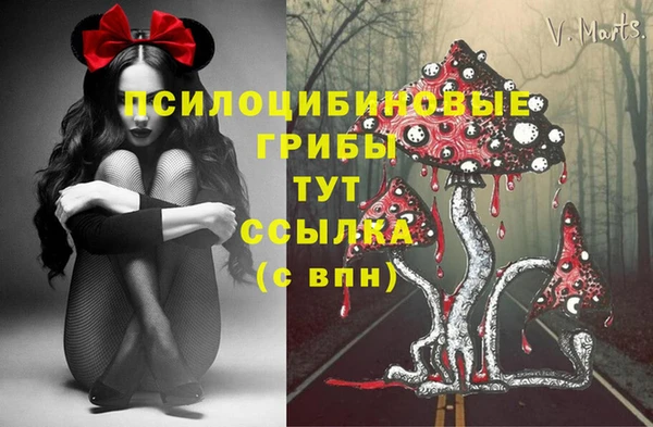 амф Алексин