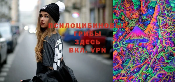 амф Алексин