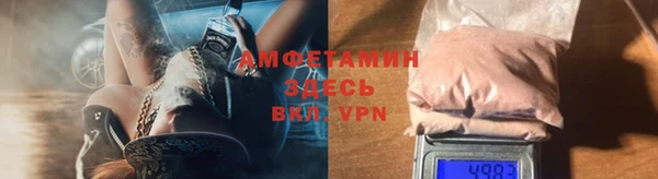 амф Алексин