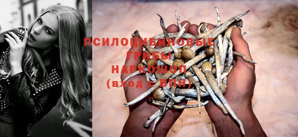 таблы Алзамай