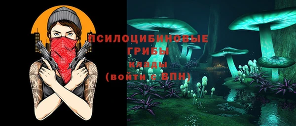 амф Алексин